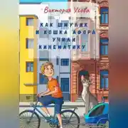 Постер книги Как Шмулик и кошка Афора учили кинематику