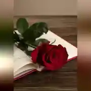 Постер книги Волшебная Сказка (недетская)