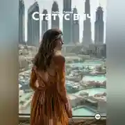 Постер книги Статус вич