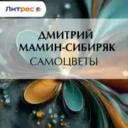 Постер книги Самоцветы