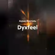 Постер книги Dyxfeel