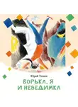Юрий Томин - Борька, я и невидимка