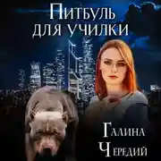 Постер книги Питбуль для училки