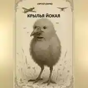 Постер книги Крылья йокая