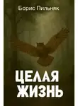 Борис Пильняк - Целая жизнь