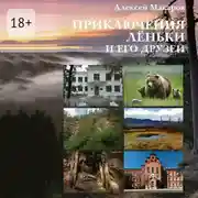 Постер книги Приключения Лёньки и его друзей