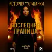 Постер книги История Хулиганки: Последняя Граница