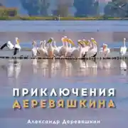 Постер книги Приключения Деревяшкина