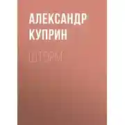 Постер книги Шторм
