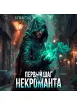 Илья Рэд - Первый шаг Некроманта. Том 6