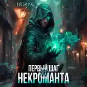 Постер книги Первый шаг Некроманта. Том 6