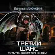 Постер книги Третий шанс