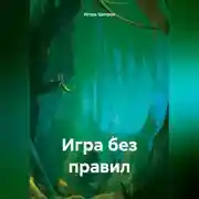 Постер книги Игра без правил
