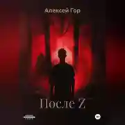 Постер книги После Z