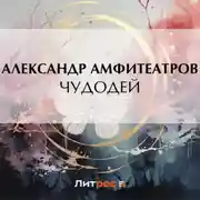 Постер книги Чудодей