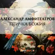 Постер книги Птичка Божия