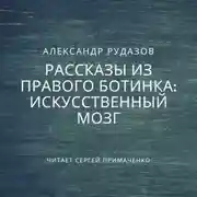 Постер книги Искусственный мозг