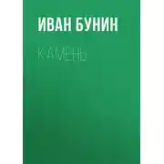 Постер книги Камень