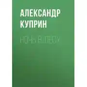 Постер книги Ночь в лесу