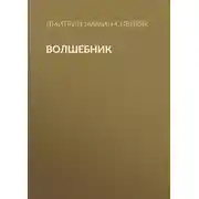 Постер книги Волшебник