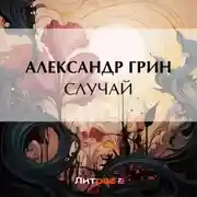 Постер книги Случай