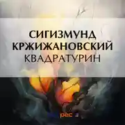 Постер книги Квадратурин