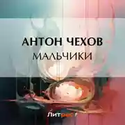 Постер книги Мальчики