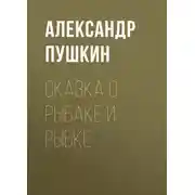 Постер книги Сказка о рыбаке и рыбке