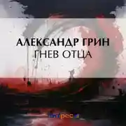 Постер книги Гнев отца