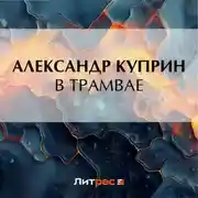 Постер книги В трамвае