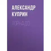 Постер книги Торнадо