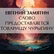 Постер книги Слово предоставляется товарищу Чурыгину