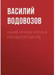 Василий Водовозов - Какая нужна наука в народной школе