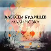 Постер книги Малиновка
