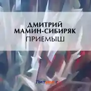 Постер книги Приемыш