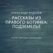 Постер книги Подземелье