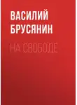 Василий Брусянин - На свободе