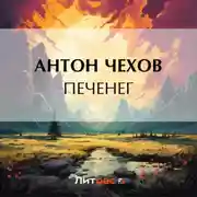 Постер книги Печенег