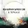 Валерий Брюсов - В зеркале
