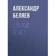 Постер книги Слепой полёт