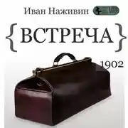 Постер книги Встреча