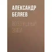 Постер книги Воздушный змей