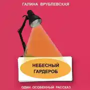 Постер книги Небесный гардероб