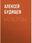 Алексей Будищев - Катастрофа