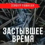 Постер книги Застывшее время