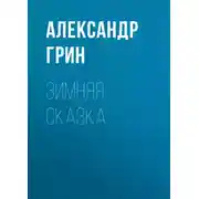 Постер книги Зимняя сказка