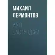Постер книги Аул Бастунджи