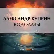 Постер книги Водолазы