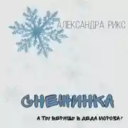 Постер книги Снежинка