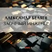 Постер книги Заочный инженер